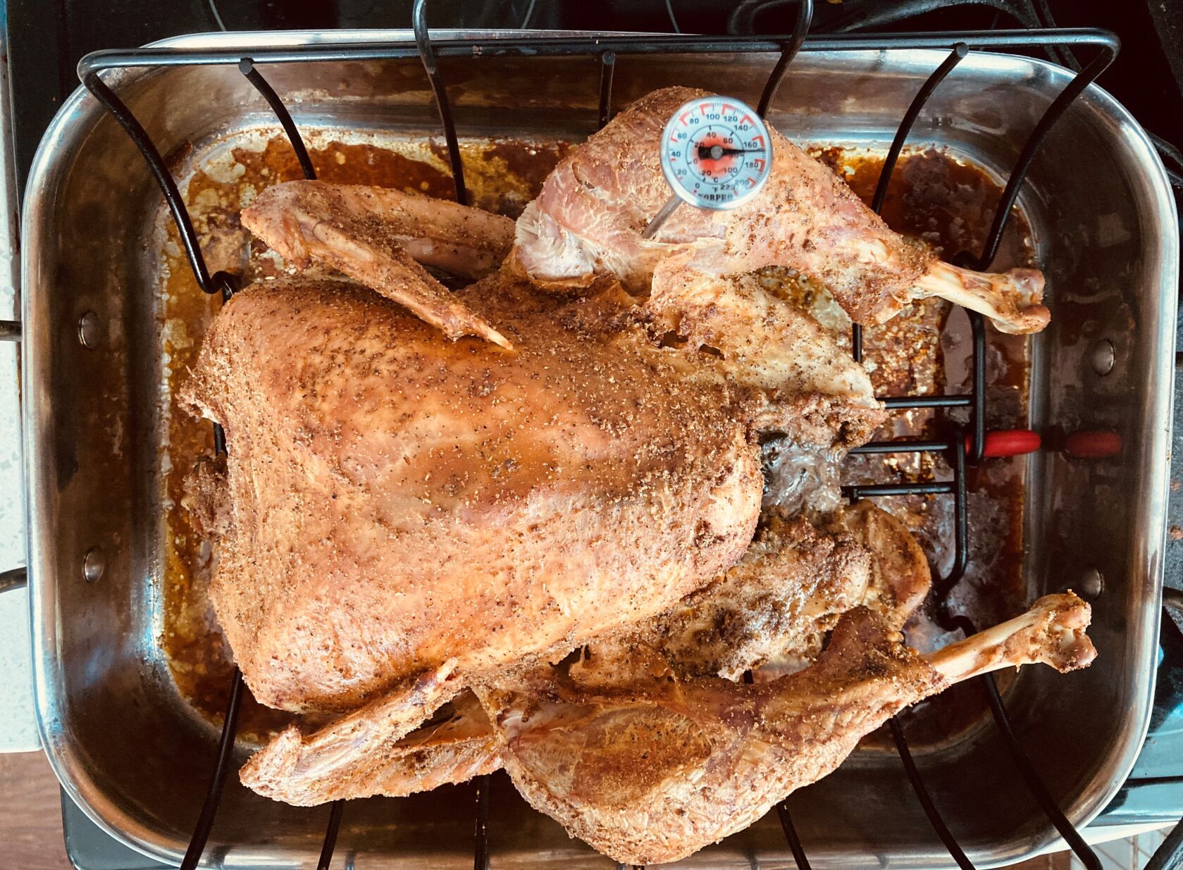 Turkey taking temperature
